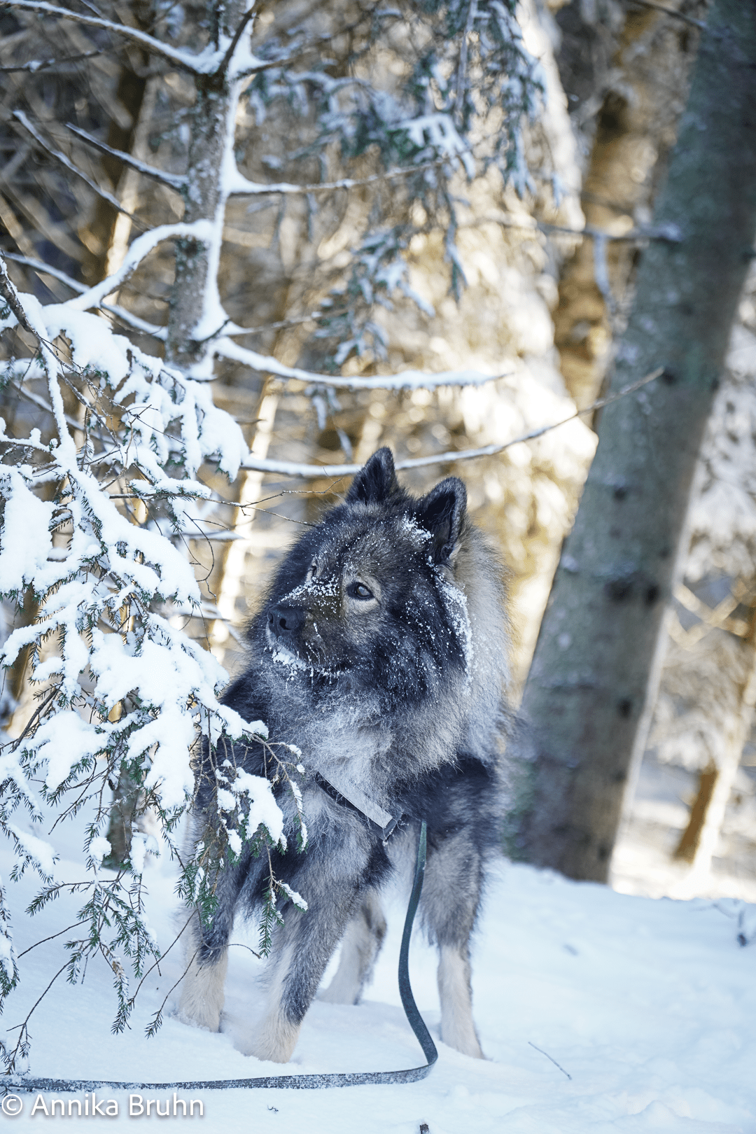 Was Q wohl beobachtet